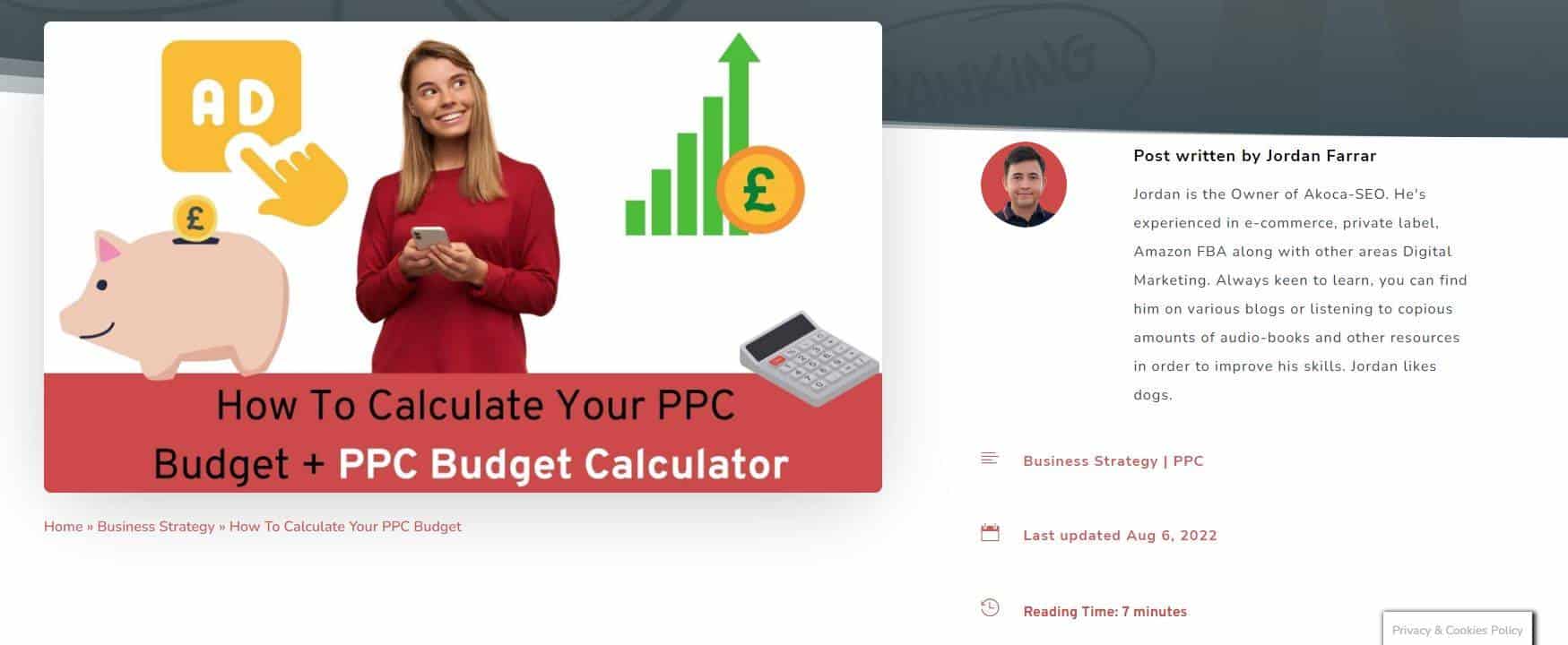 Image of another post "how to calculate your PPC budget" shared to demonstrate breadcrumbs, category's, publish date and reading time within blog posts